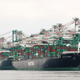 Illustration for article titled Why Are These Massive Cargo Ships Trapped at 29 U.S. Ports?